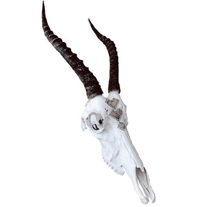 Druzy Desires Springbok Skull