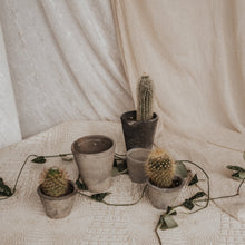 Load image into Gallery viewer, Moss Grey Rustic Terracotta Pots
