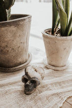 Load image into Gallery viewer, Espiritu Large Crystal Skull
