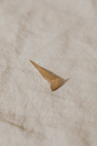 Iron Nails